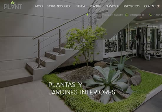 Plant